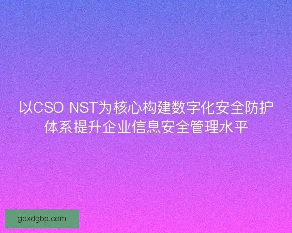 以CSO NST为核心构建数字化安全防护体系提升企业信息安全管理水平