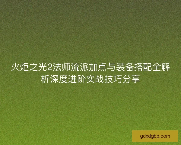火炬之光2法师流派加点与装备搭配全解析深度进阶实战技巧分享